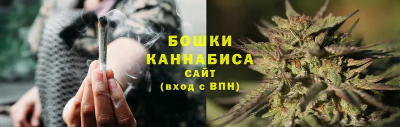 Марихуана OG Kush  Кукмор 